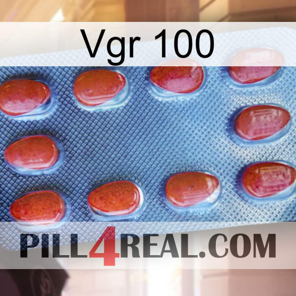 Vgr 100 06